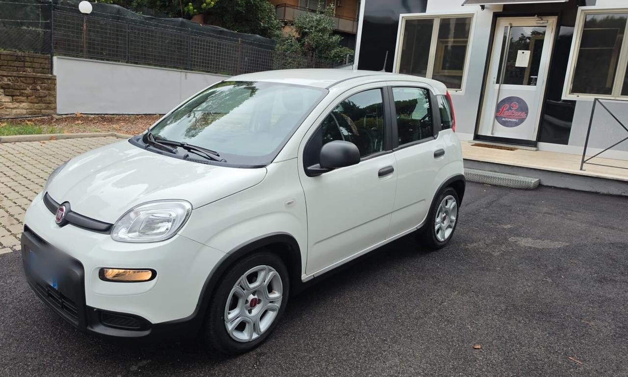 Fiat Panda 1.0 FireFly S&S Hybrid Prezzo in OFFERTA PROMO