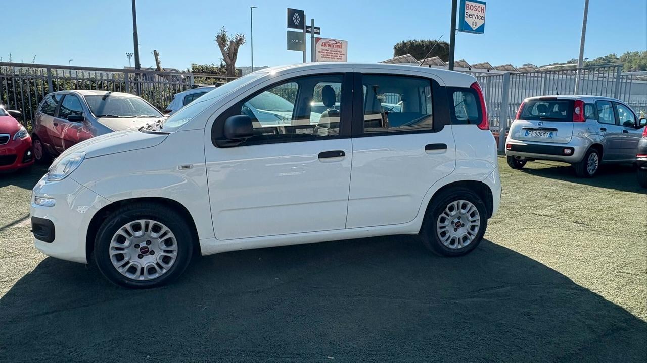 Fiat Panda 1.2 312PXA1A | BENZINA| 169A4000 CC 1242 CV 69 KW 51 BERLINA, 5 P.