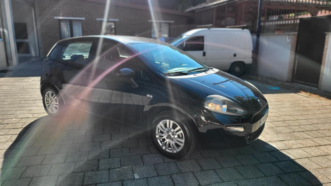 Fiat Punto 1.2 8V 5 porte Street