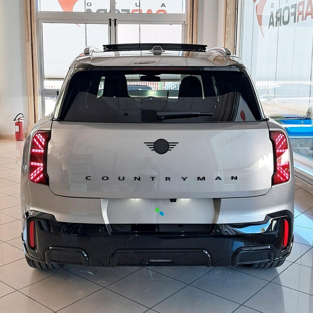 Mini One D Countryman JCW Tetto Pelle R 20