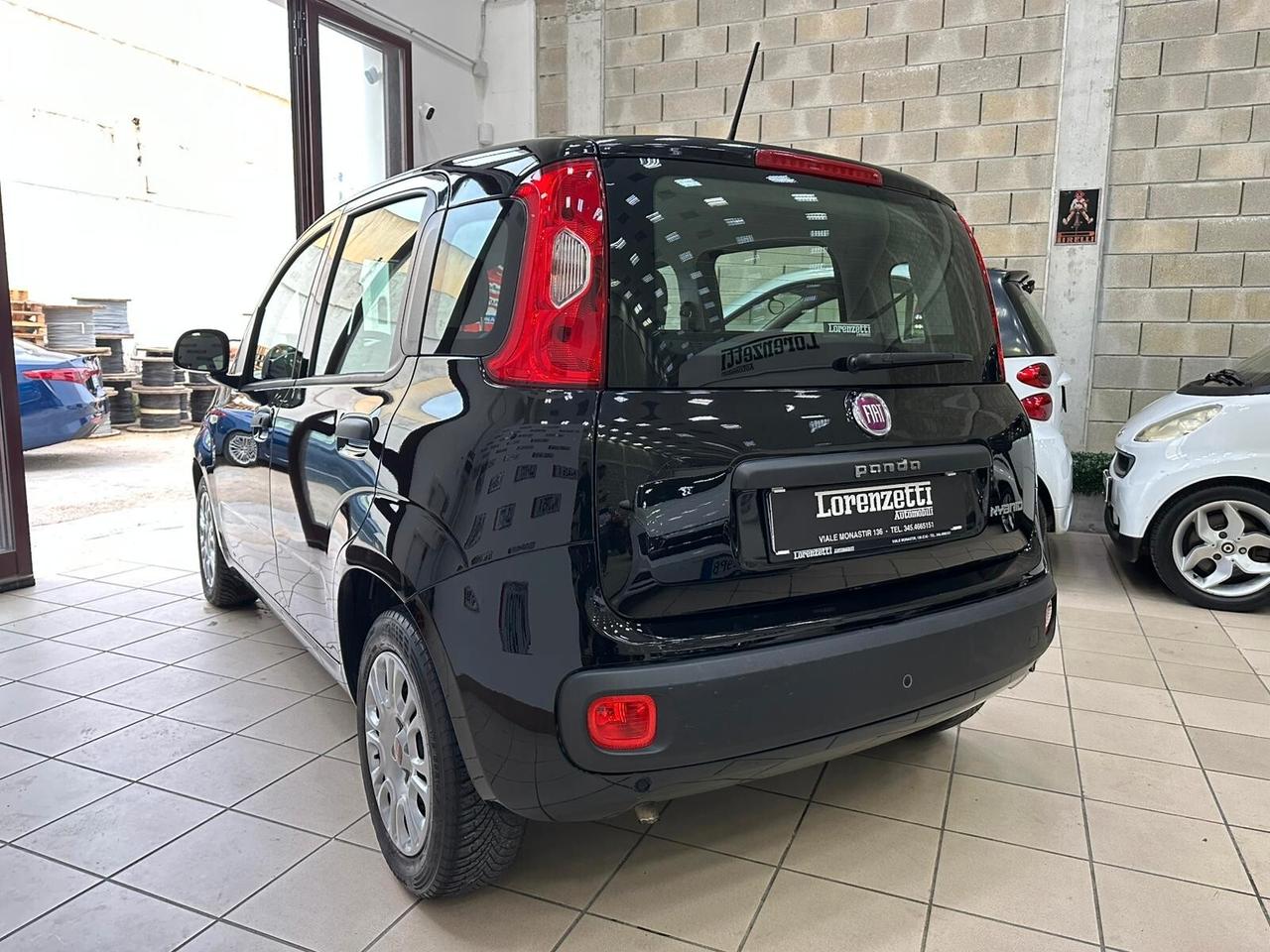 Fiat Panda 1.0 FireFly S&S Hybrid Easy - GARANZIA