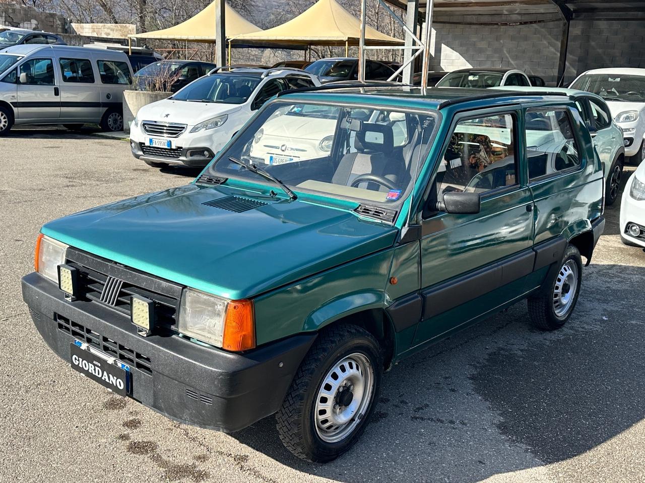 Fiat Panda 1100 i.e. cat Young