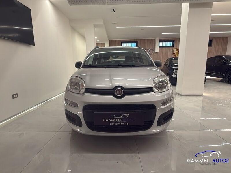 FIAT Panda 1.2 69cv E6 Easy