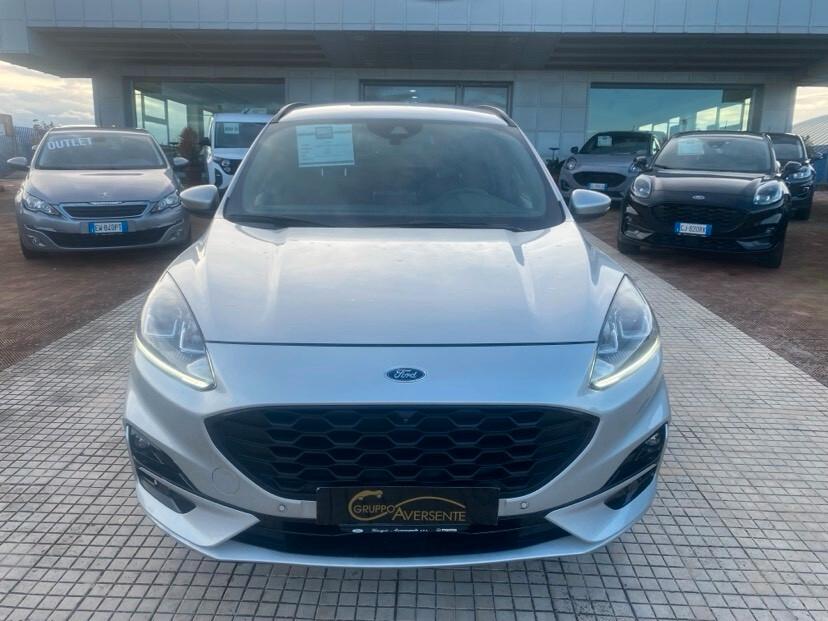 Ford Kuga 1.5 EcoBlue 120 CV 2WD ST-Line