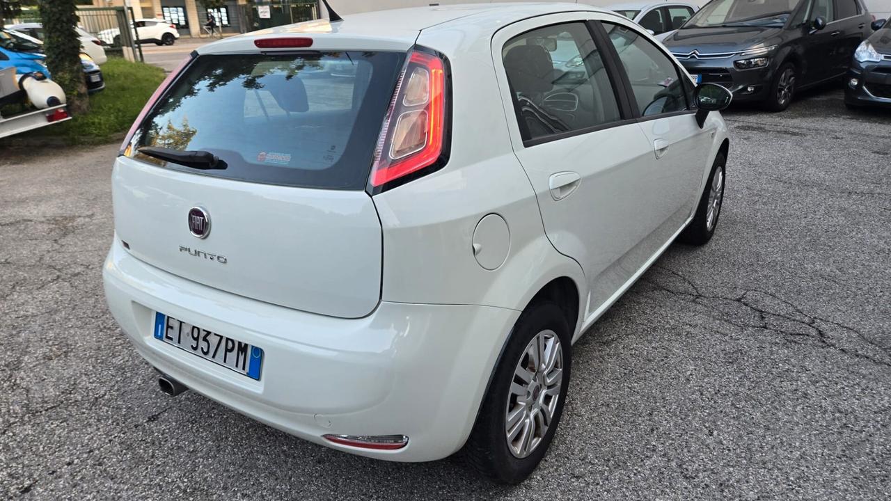 Fiat Punto 1.2 8V 5 porte Street Ok Neopatentati