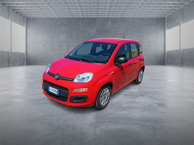 FIAT Panda 3ª serie 1.0 FireFly S&S Hybrid