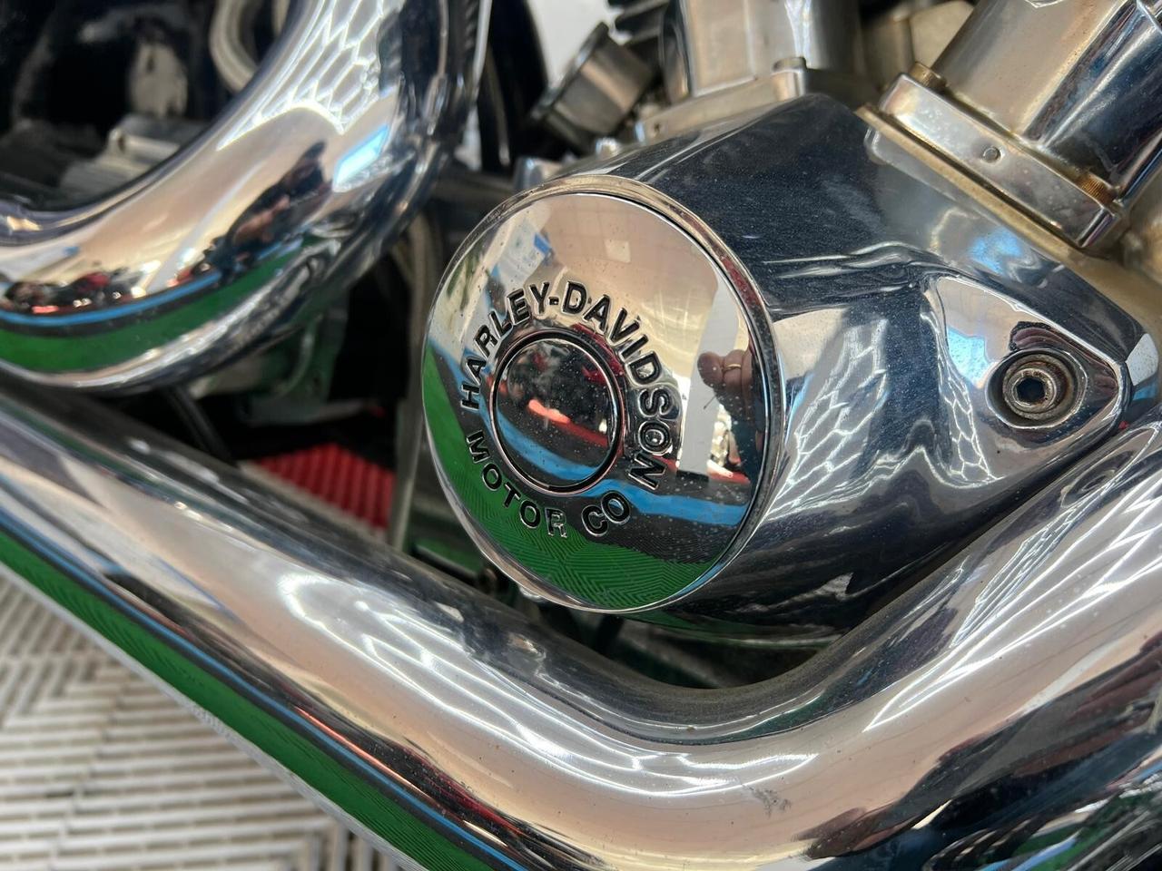 HARLEY-DAVIDSON REDNEK LOWLIFE