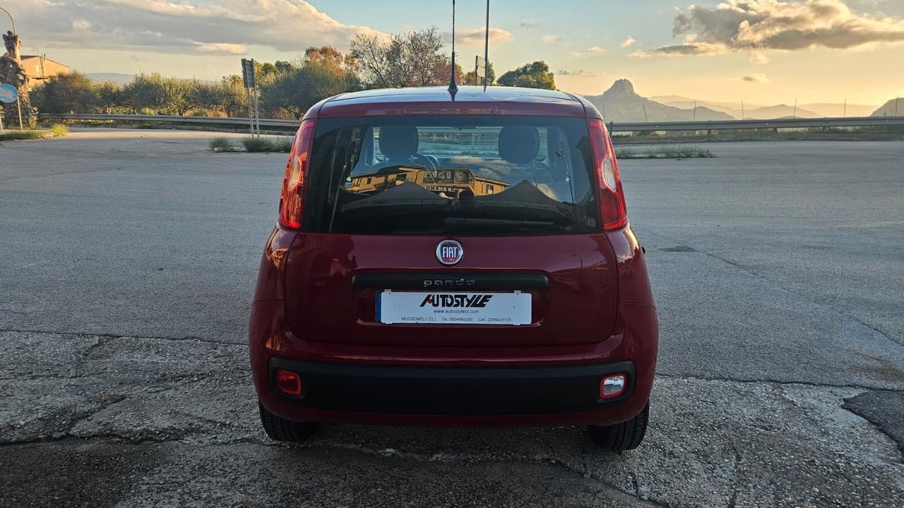 Fiat Panda 1.2 Benzina Easy