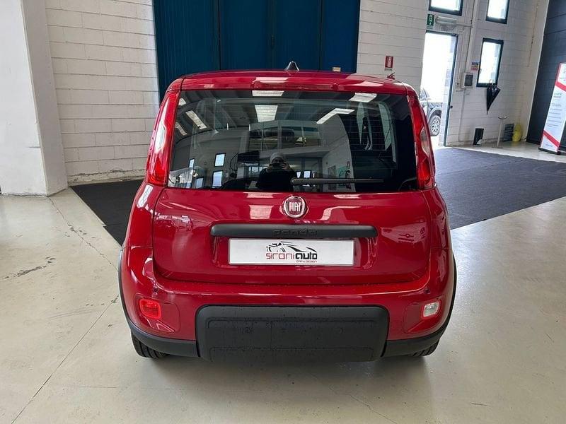 FIAT Panda 1.0 FireFly S&S Hybrid - PROMO SIRONIAUTO+