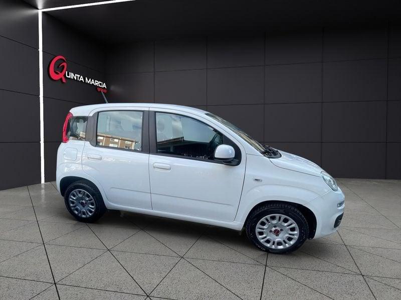 FIAT Panda 1.2 69 CV EasyPower GPL (29-24)