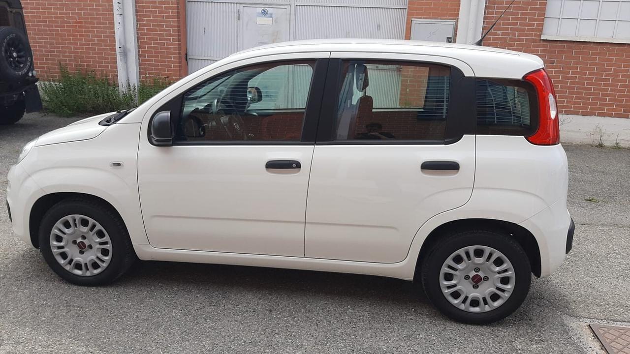FIAT PANDA 1.2 Easy 2016 neopatentati