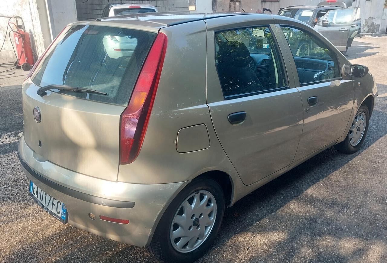 Fiat Punto Classic 1.2 5 porte Active Anno 2010