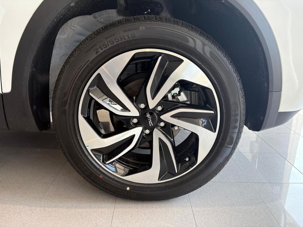 EMC EMC SEI 1.5 MANUALE 113CV EMC SEI 1.5 MANUALE 113CV