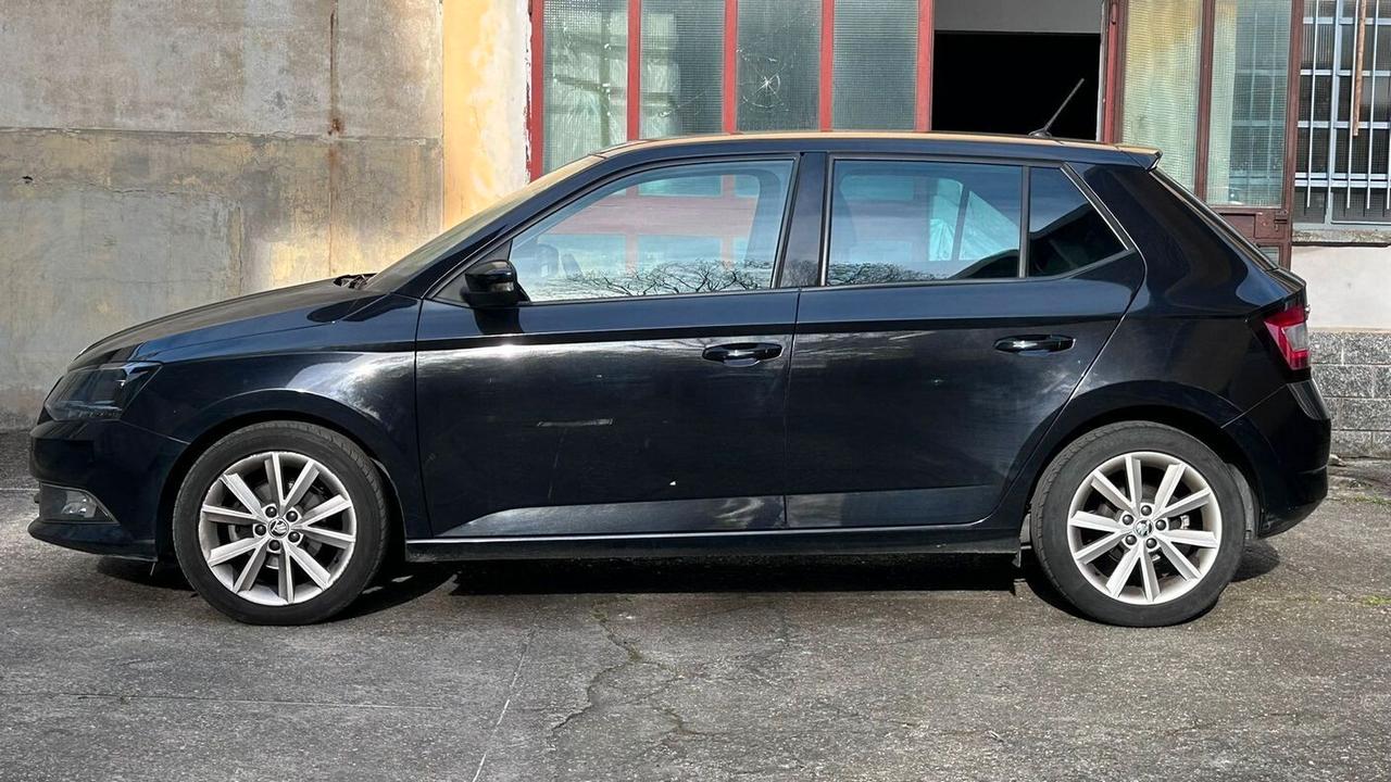 Skoda Fabia 1.4 TDI 90 CV AUTOCARRO N1 4 POSTI