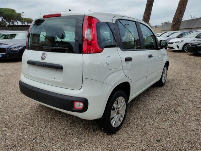 FIAT Panda 1.2 69cv GPL CLIMATIZZATORE OK NEOPATENTATI