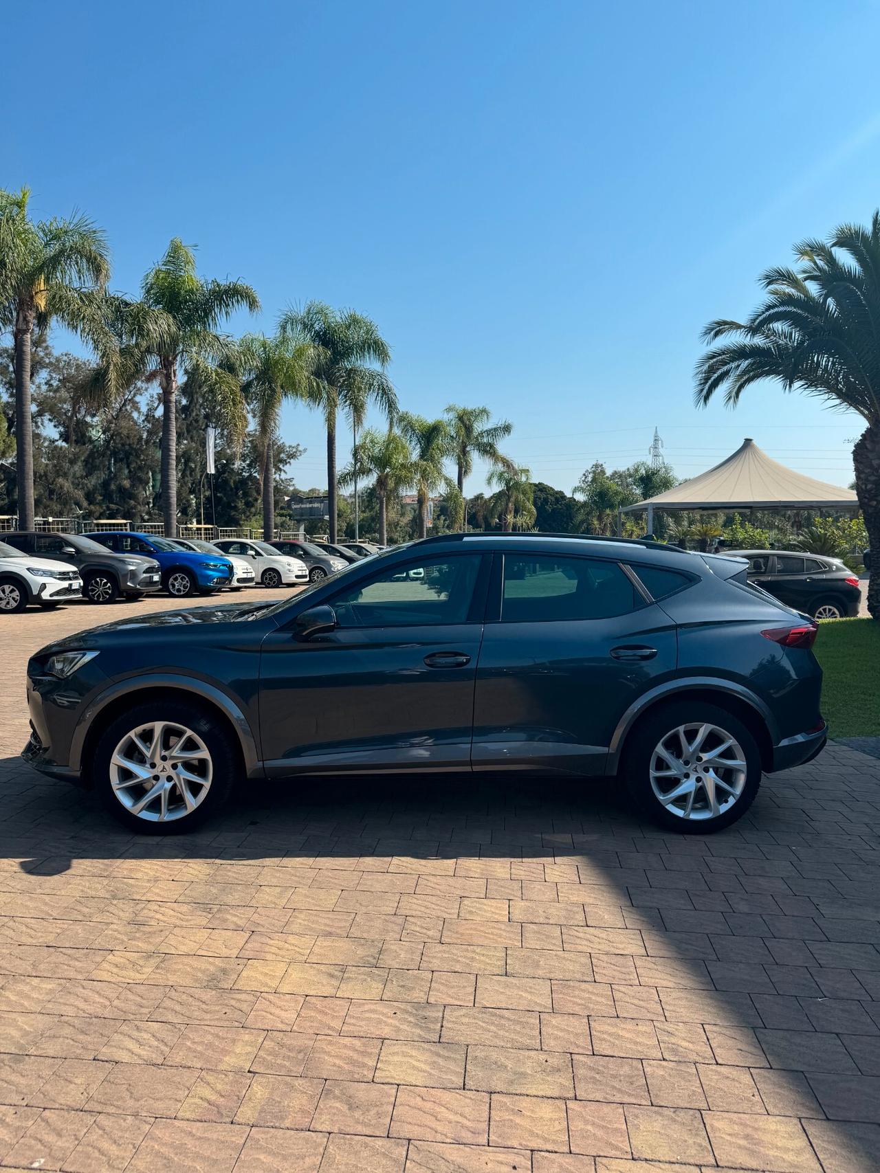 Cupra Formentor 2.0 TDI