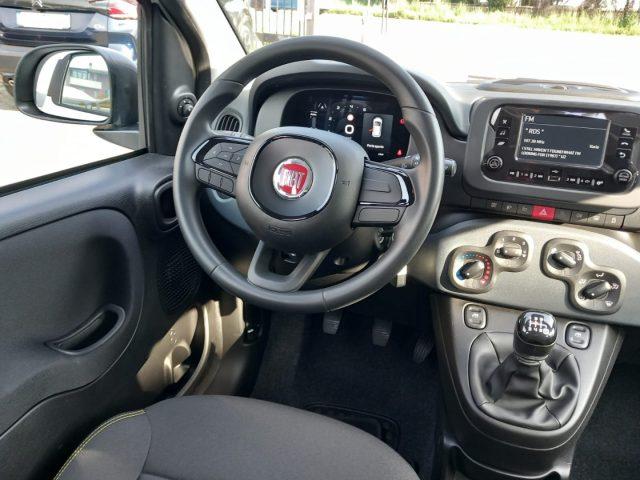 FIAT Panda 1.0 FireFly S&S Hybrid con ADAS Pack