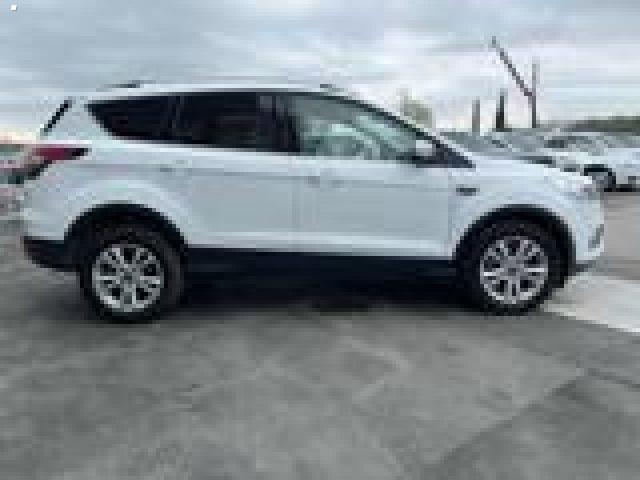 FORD Kuga 1.5 TDCI 120 CV S&S 2WD Powershift Business