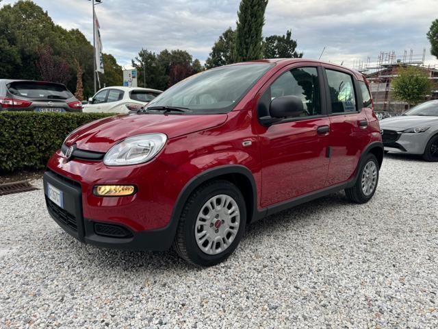 FIAT Panda 1.0 FireFly Hybrid 70cv S&S MT6 - KmZero