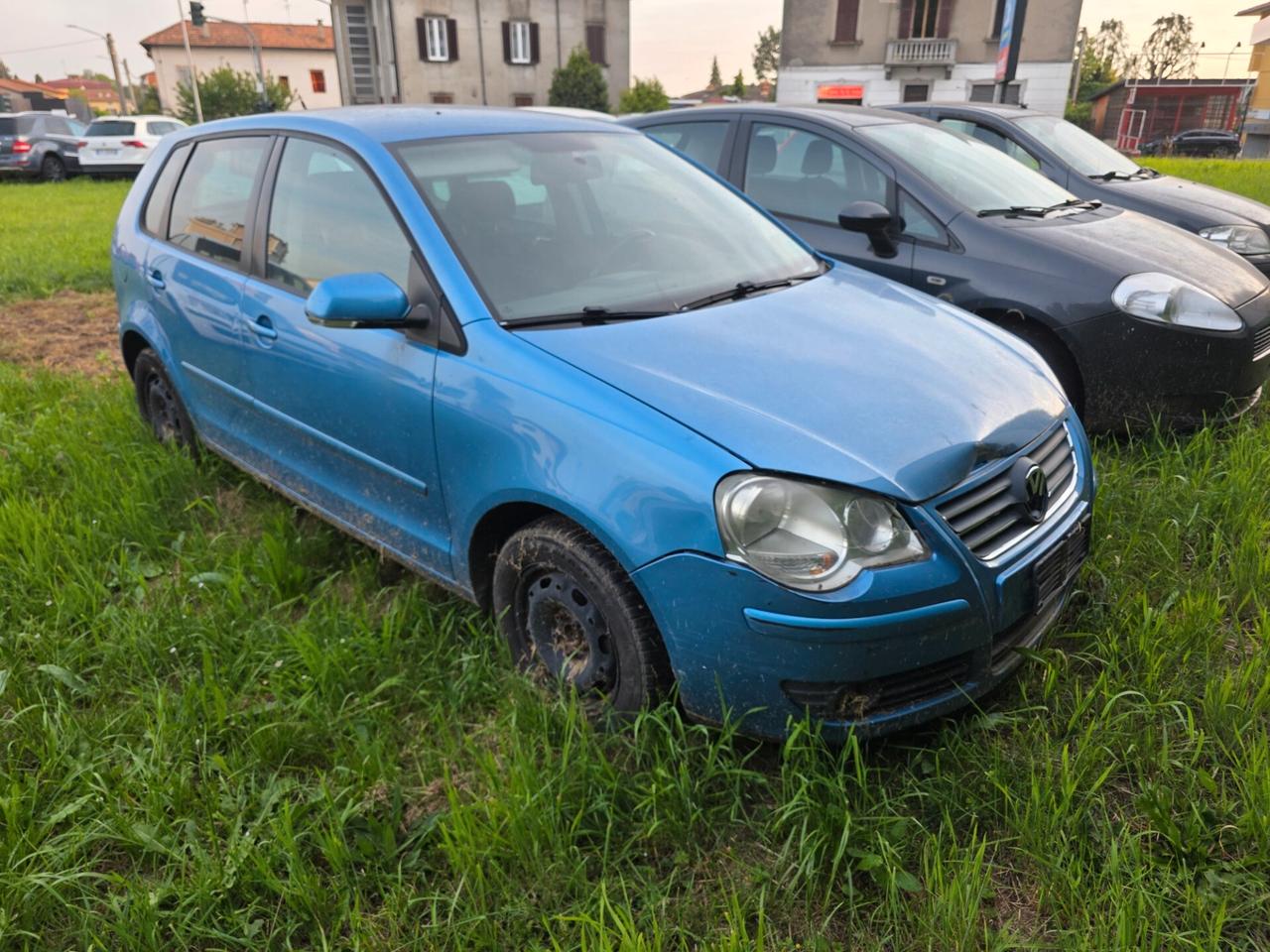 Fiat Punto Evo 1.3 Mjt 75 CV 5 porte Active
