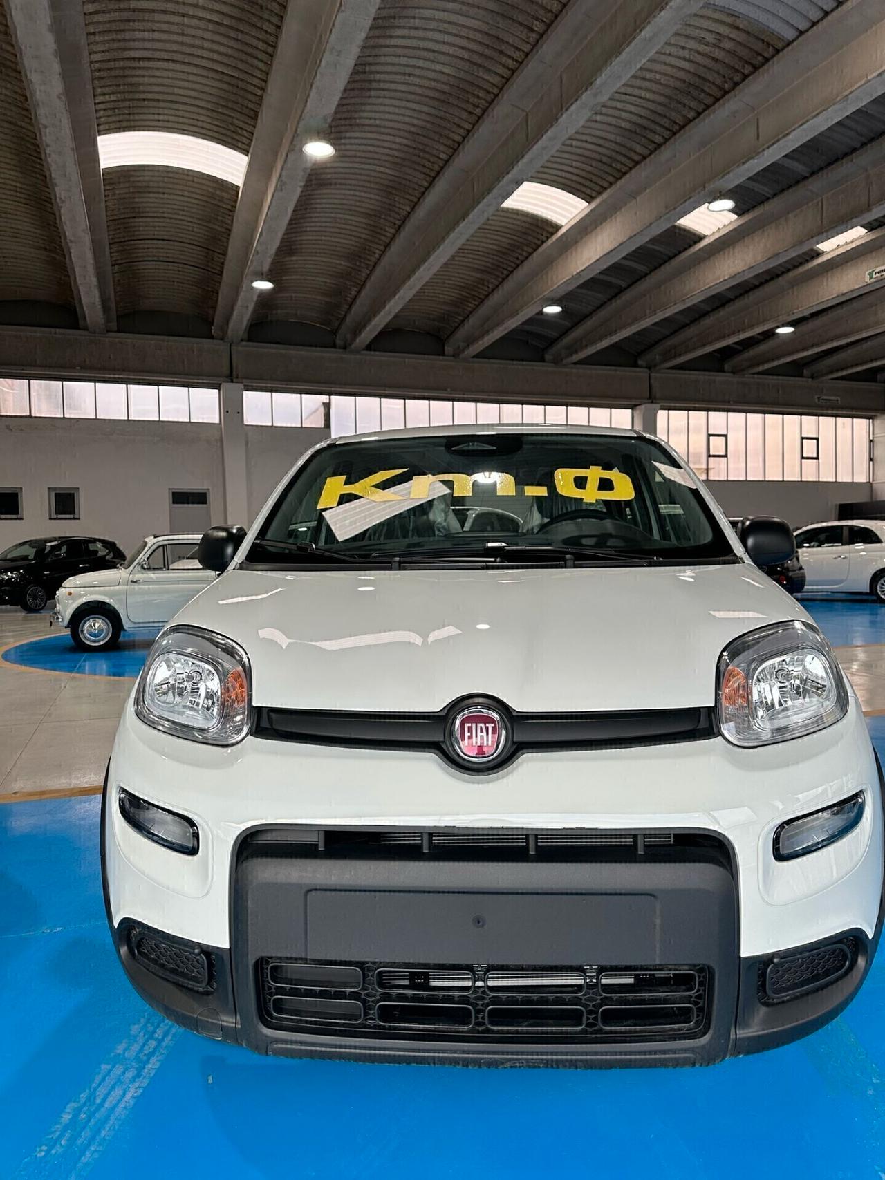 Fiat Panda 1.0 70cv Hybrid PANDINA KM 0 2024