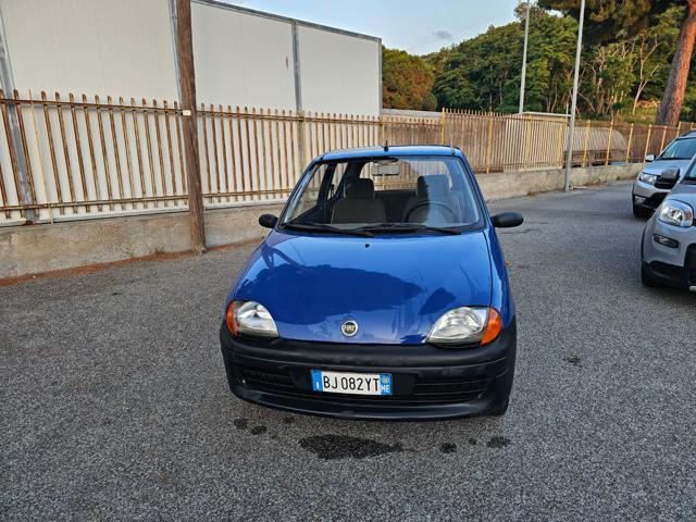 FIAT Seicento 900i cat Young