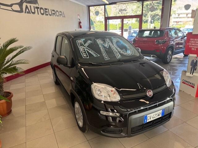 FIAT Panda 3ª serie Panda 1.0 FireFly S&S Hybrid