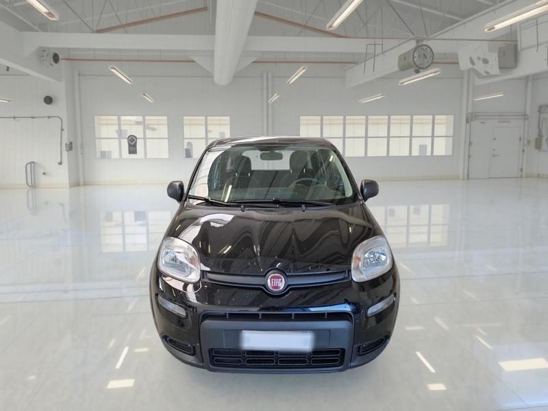 FIAT PANDA 1.0 FireFly 70cv S/S Hybrid 5 PORTE