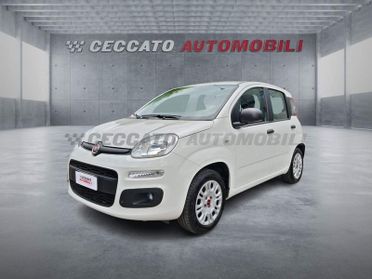 FIAT Panda Panda 1.2 Pop s&s 69cv my19