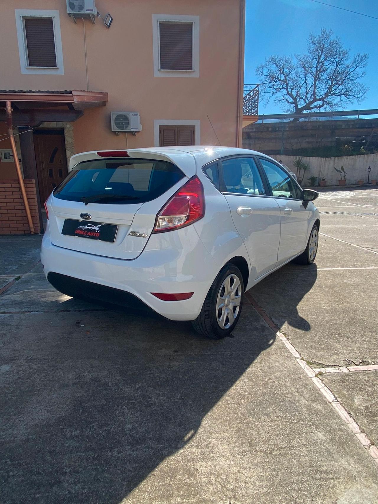 Ford Fiesta 1.5 TDCi 75CV 5 porte Titanium
