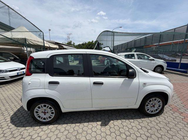 FIAT Panda Panda III 1.2 Lounge easypower Gpl 69cv my19