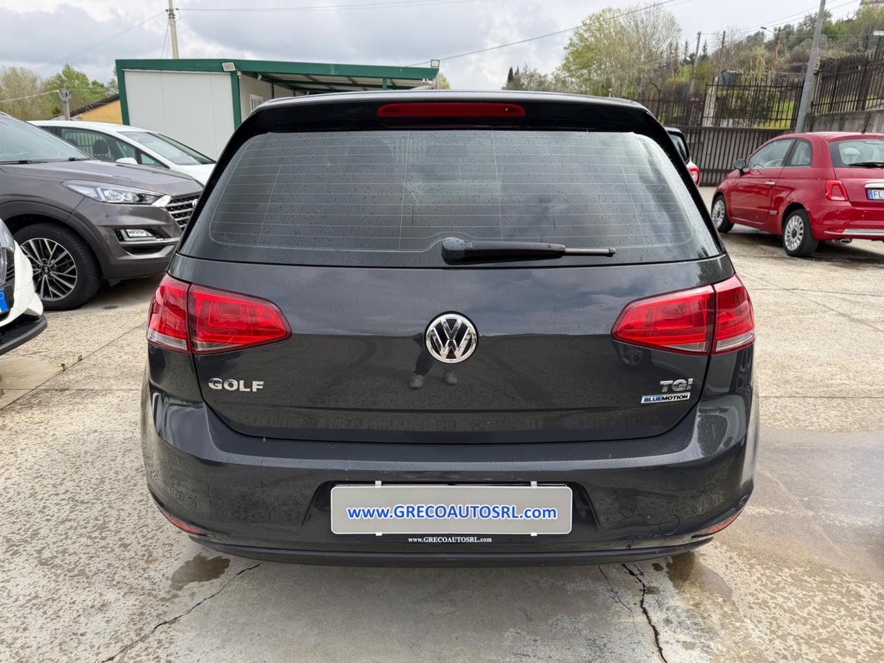 Volkswagen Golf 1.4 TGI 5p. Trendline BlueMotion