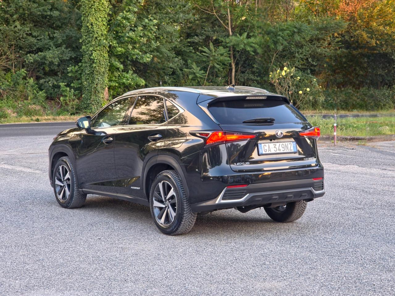 Lexus NX 300h Hybrid 4WD F-Sport E6 Automatico 2020
