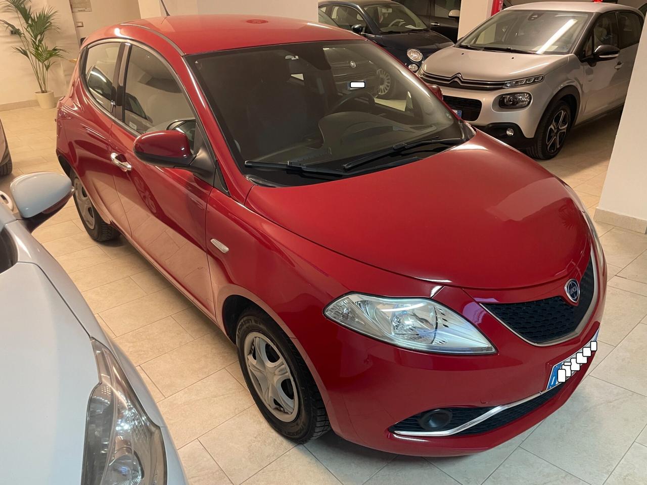 Lancia Y Ypsilon 1.2 Silver Tagliandata Distribuzione Neopatentati