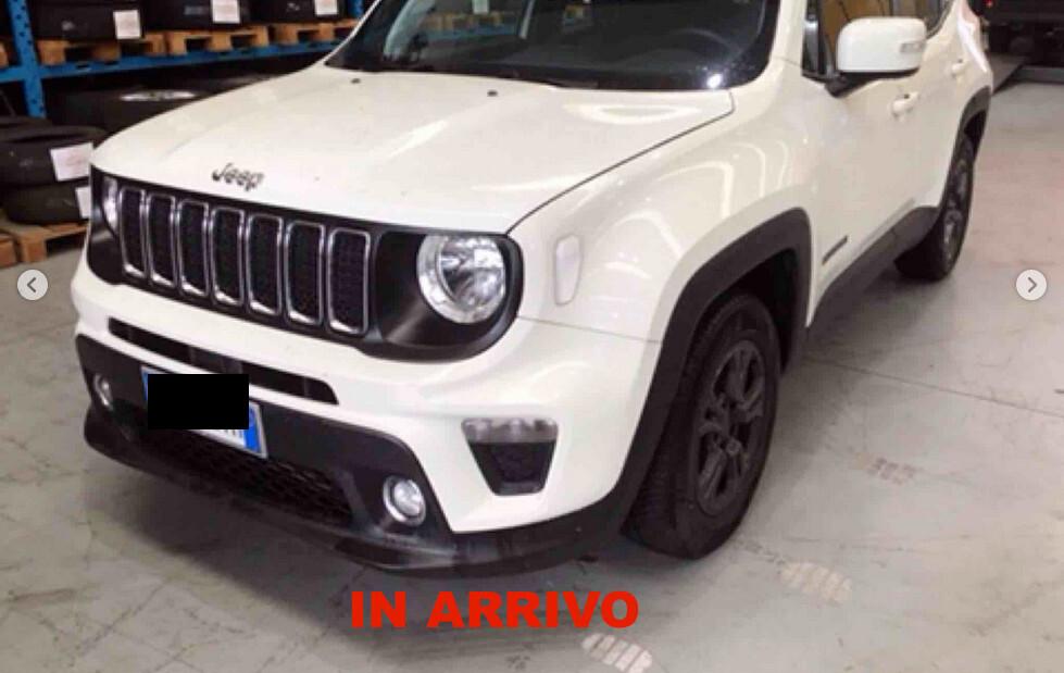 Jeep Renegade 1.6 Mjt 120 CV Longitude