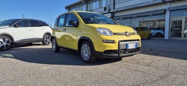 FIAT Panda Panda 1.0 FireFly S&S Hybrid