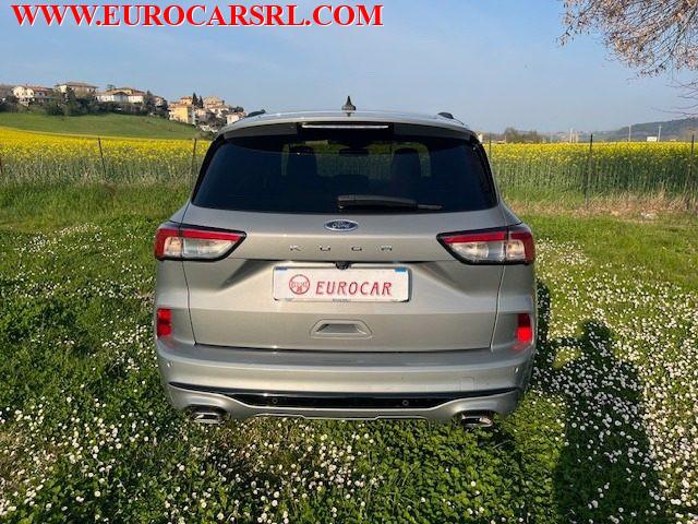FORD Kuga 1.5 EcoBlue 120 CV 2WD ST-Line