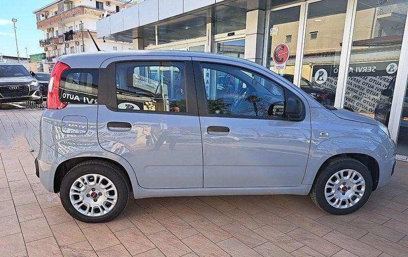 FIAT Panda Panda 1.2 Easy easypower Gpl 69cv