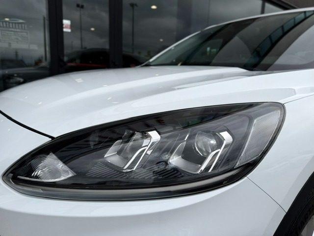 FORD Kuga 2.0 EcoBlue Hybrid 150 CV 2WD Titanium Business