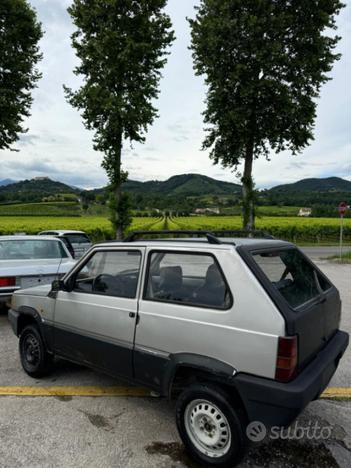 FIAT Panda 1ª serie 900 i.e. cat Young