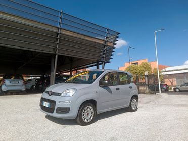 Fiat Panda 1.2 Easy Stupenda, KM documentati, IVA Deducibile, 5 Posti