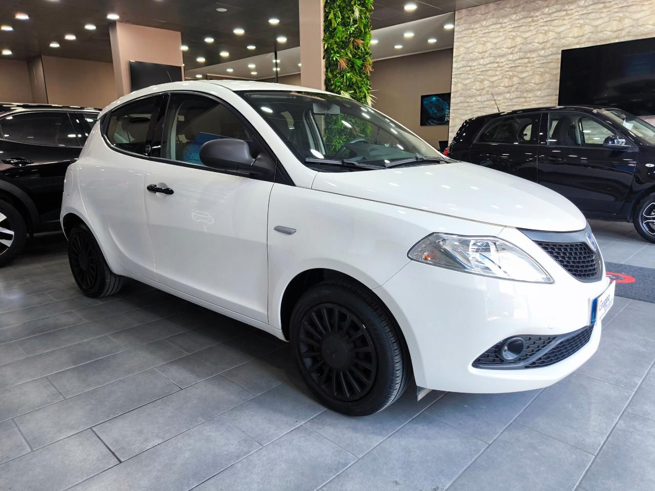 Lancia Ypsilon 1.0 FireFly 5 porte S&S Hybrid Ecochic Silver
