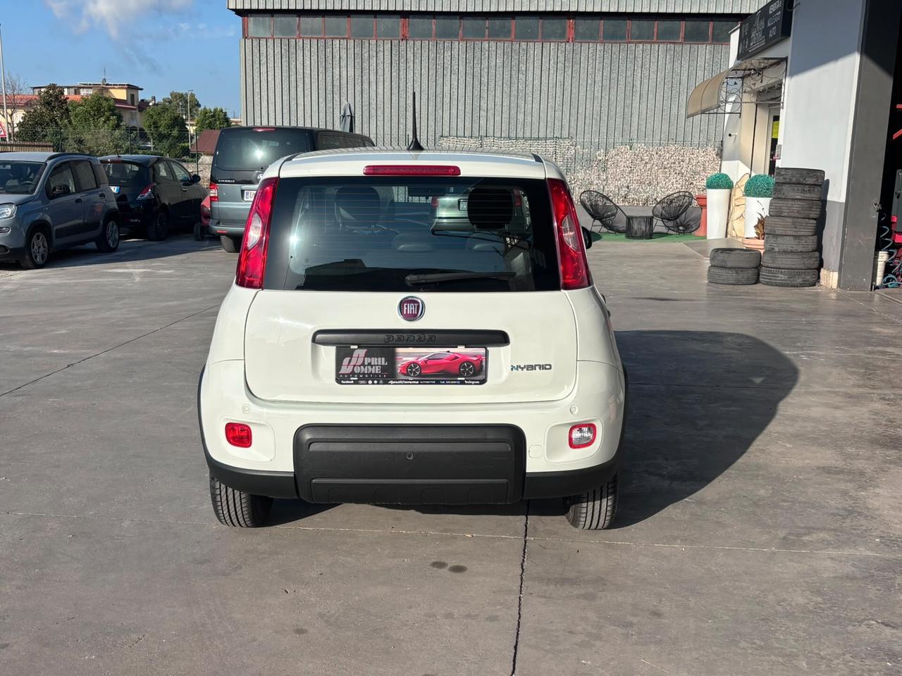Fiat Panda 1.0 FireFly S&S Hybrid PREZZO PROMO IVA ESP