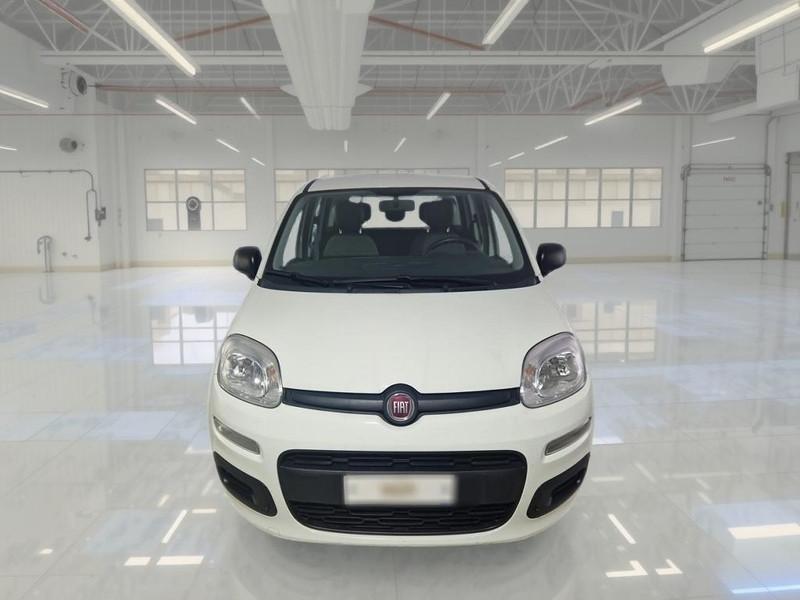 FIAT PANDA 1.0 FireFly 70cv S/S Hybrid 5 PORTE
