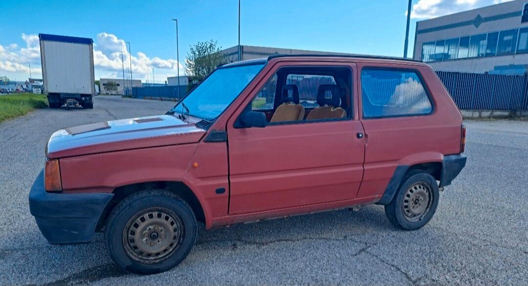 Fiat Panda 1100 i.e. cat Young