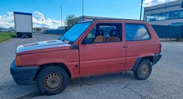 Fiat Panda 1100 i.e. cat Young