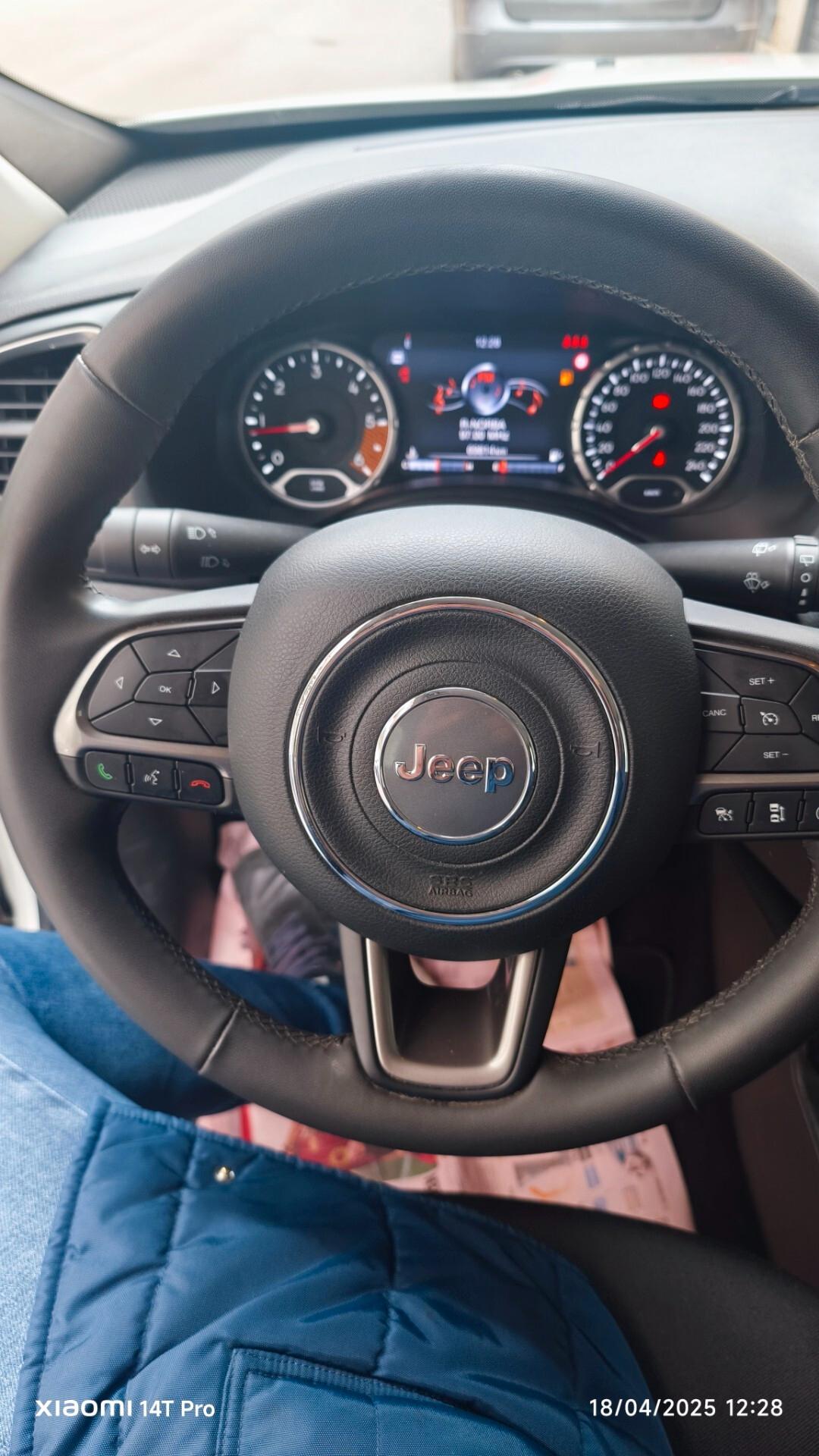 Jeep Renegade 1.6 Mjt 130cv Limited Full-Led 2021