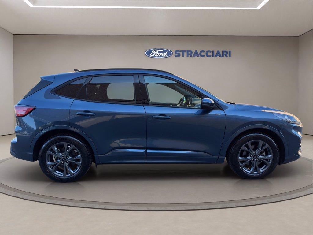 FORD Kuga 2.0 ecoblue ST-Line 2wd 120cv auto del 2024