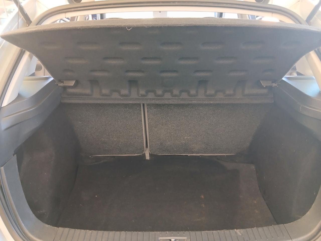 Seat Ibiza 1.4 TDI 5 porte full 04