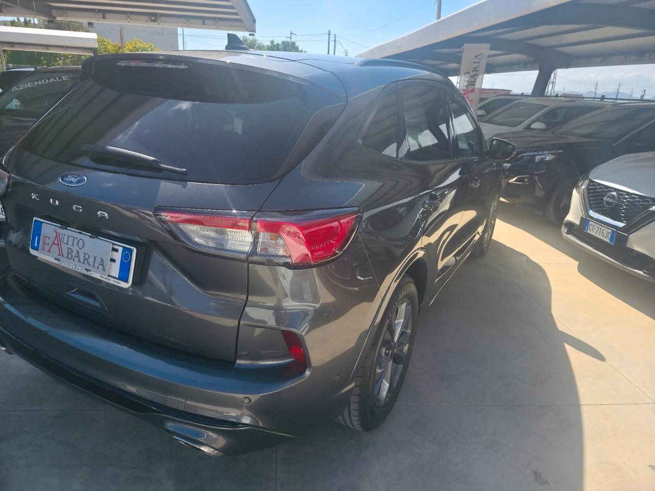 Ford Kuga 1.5 EcoBlue 120 CV 2WD ST-Line